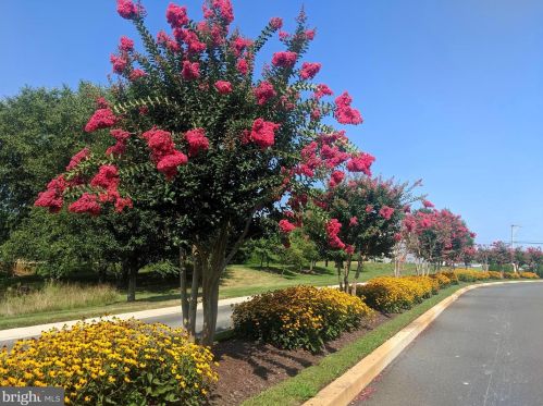 4303 Fullerton Ct, Slaughter Beach, DE 19963