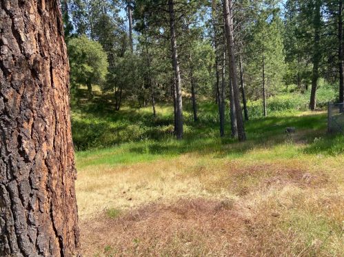 4171 Greenwood Rd, Garden Valley, CA 95633-9605