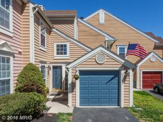 21141 Crocus Ter, Ashburn, VA 20147-5466