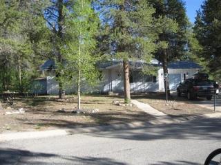1821 Lodestone Dr, Leadville, CO 80461-3715