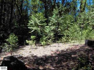 22497 Rhine River Dr, Sonora, CA 95370-8902