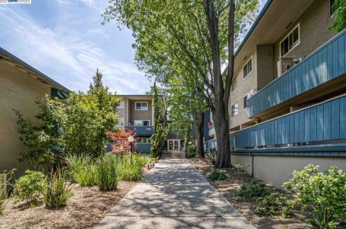 7100 Rainbow Dr, San Jose, CA 95129-4507