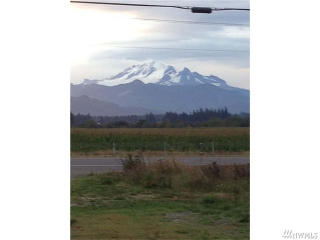 6455 Guide Meridian Rd, Lynden, WA 98264-9615