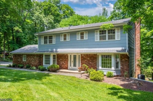 20 Pigeon Hill Rd, Greystone Park, NJ 07950-1524