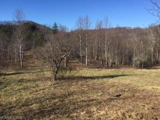 1110 Spicer Cove Rd, Hendersonville, NC 28792-4834