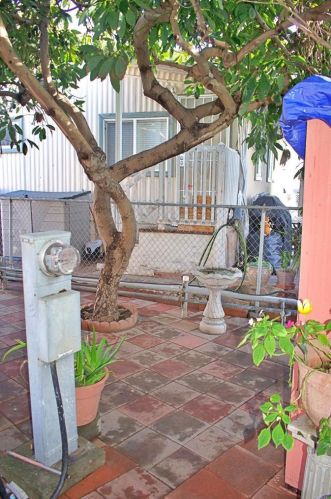 1837 Cindy St, San Diego CA  92154-1135 exterior