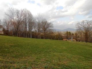 38 Deer Meadows Dr, Biltmore Lake, NC 28715-7817