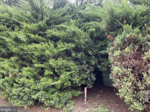 842 Woodcrest Turn, Dover DE  19904-2412 exterior