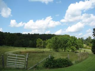 5102 Olive Hill Rd, Olivehill, TN 38475-9141