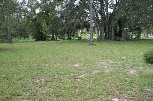 16636 45th St, Ocala, FL 34481-6702