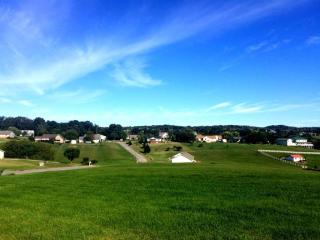 150 Golf View Blvd, Dandridge, TN 37725-6165