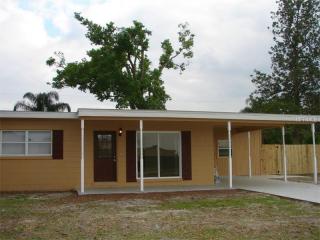 1114 Courtland St, Orlando, FL 32804-1312