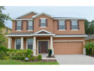 305 Corbett Bluff Dr, Ruskin, FL 33570-5363