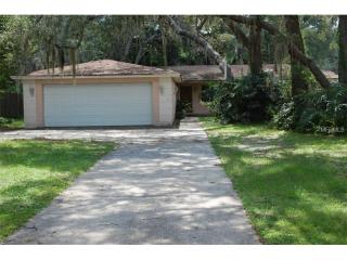 19540 Michigan Ave, Odessa, FL 33556-4216