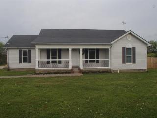 9943 Gray Fox Dr, Christiana, TN 37037-5366