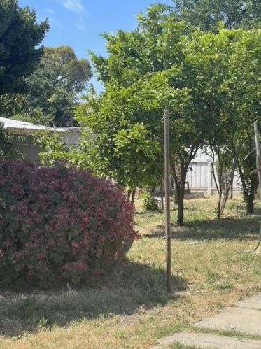 3071 Wall St, San Jose, CA 95111-3231
