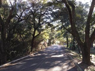 178 Whitfield Rd, Freeport, FL 32439-2441