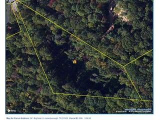 241 Big Bear Ln, Jonesborough, TN 37659-7269