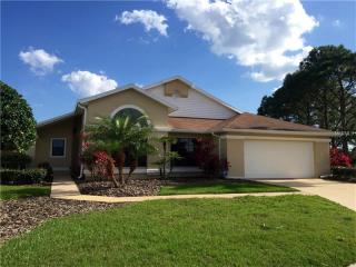 102 Honeywood Ct, Kissimmee, FL 34743-8813