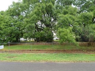 711 Randolph Ave, New Orleans, LA 70123-3748