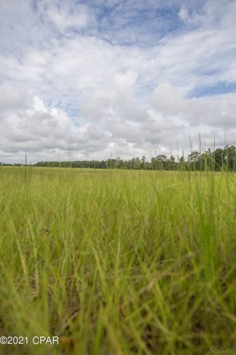 4084 Highway 77, Graceville FL  32440-4758 exterior