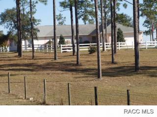 4909 Woodlawn St, Dunnellon, FL 34433-2763