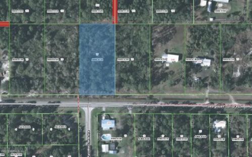 300 Georgetown Denver Rd, Georgetown, FL 32139-2630