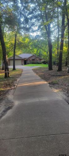 18110 Meandering Way, Flint, TX 75762-9685