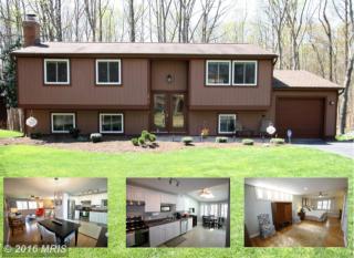 7914 Hill Stream Ct, Springfield VA  22153-2508 exterior