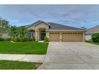 19614 Wyndham Lakes Dr, Odessa, FL 33556-1702