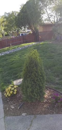 6577 Melrose Dr, North Highlands CA  95660-4378 exterior