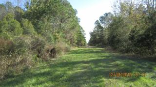305 Carteret Rd, Georgetown, FL 32139-0027