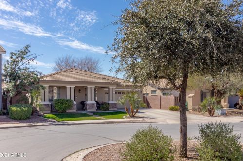 18771 Swan Dr, Queen Creek, AZ 85142-7992