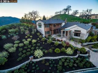 131 Alamo Springs Dr, Alamo, CA 94507-2060