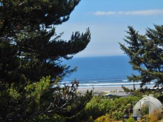 2726 Seafarer Ct, Waldport, OR 97394-9625