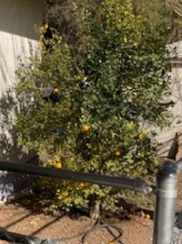 1800 Ironwood Dr, Mohave Valley AZ 86440-8540 exterior