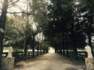 8225 Highway 25, Belleview FL  34420-4753 exterior