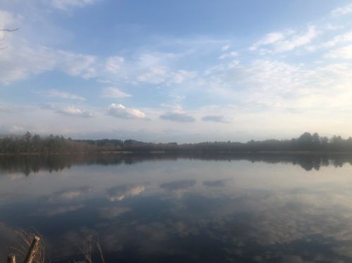 41 Theresa Ave, Salem NH  03079-3960 exterior