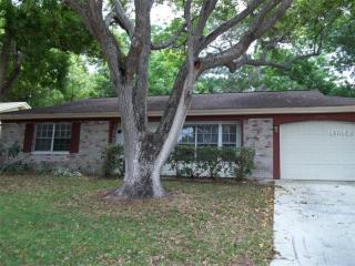 12206 Bear Creek Ln, Port Richey, FL 34667-2428