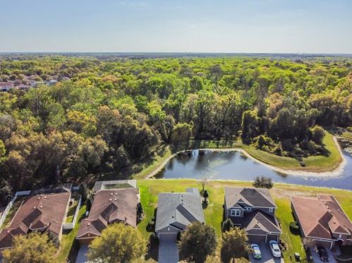 11156 Belle Hvn Dr, New Port Richey FL 34654-4491 exterior