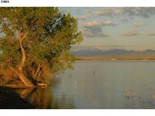 3191 Boundless Ln, Timnath, CO 80547-4429