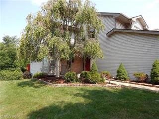 3853 Retreat Dr, Medina, OH 44256-8161