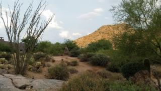 24375 113th Pl, Scottsdale, AZ 85255-5723