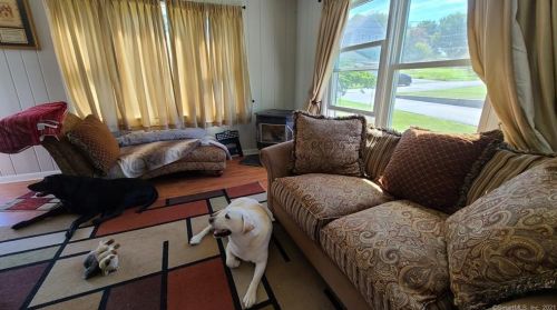 4 5th St, Danbury CT  06810-5704 exterior