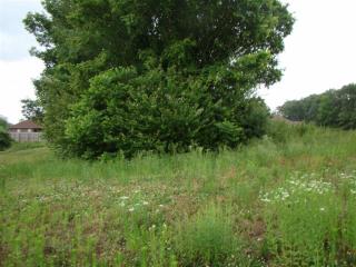 199 Chronicles Dr, Medina, TN 38355-8804