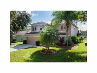 12910 Royal George Ave, Odessa, FL 33556-5709