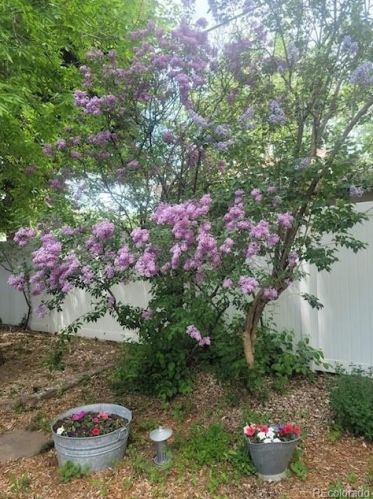 2883 Otis St, Denver CO 80227-3528 exterior