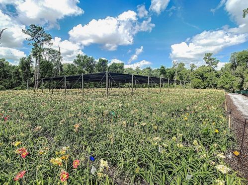 1240 Enterprise Osteen Rd, Deltona FL  32725-9401 exterior