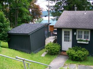 101 Lake Shore Dr, Cooperstown, NY 13326-3110