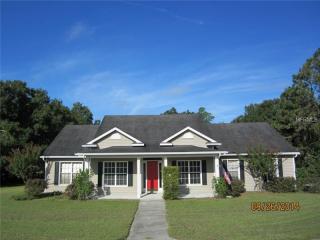 18006 Mckinnon Rd, Odessa, FL 33556-5146